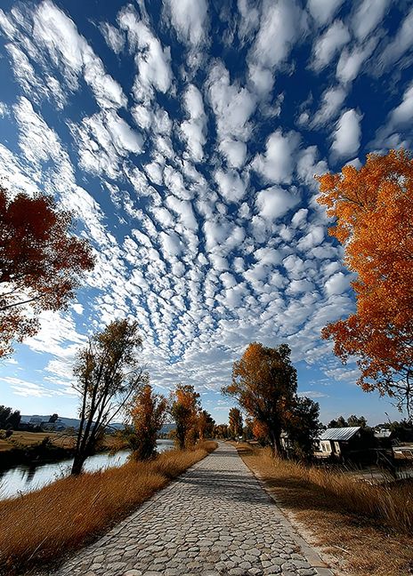 Vibrant Cirrocumulus Cloud Art
